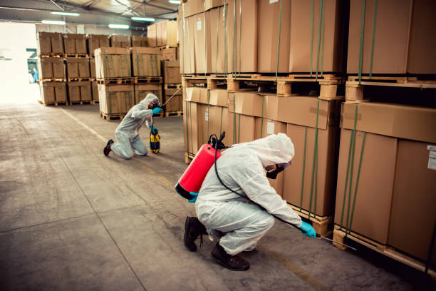 Best Best Pest Control Companies  in Audubon, IA