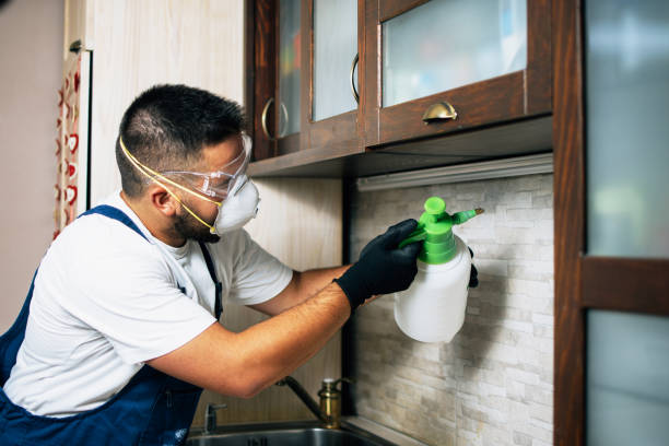 Best Pest Inspection Near Me  in Audubon, IA