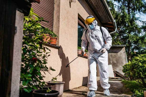 Best Pest Control Treatment  in Audubon, IA