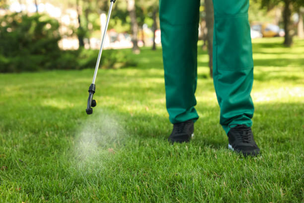 Best Pest Prevention Services  in Audubon, IA
