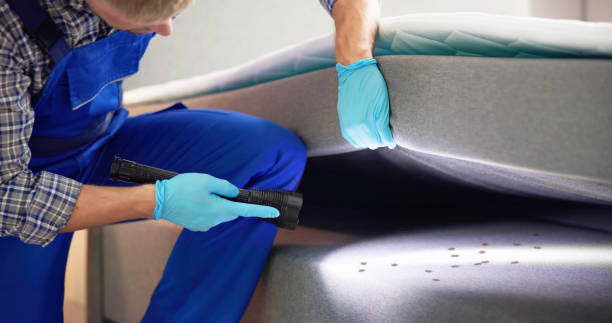 Best Pest Removal Services  in Audubon, IA