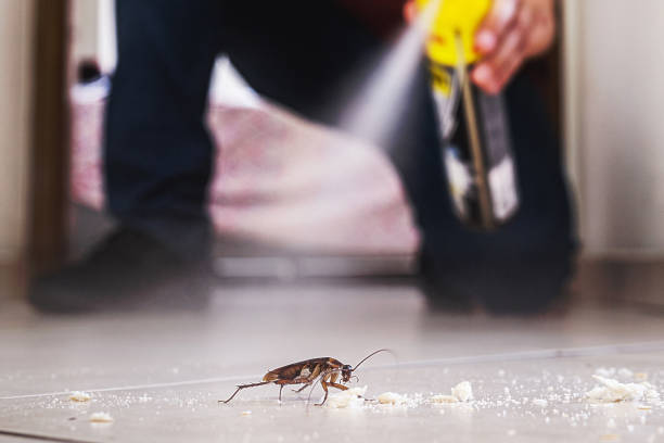 Best Wildlife Control Services  in Audubon, IA
