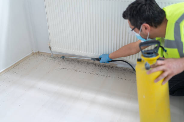 Best Termite Control Services  in Audubon, IA