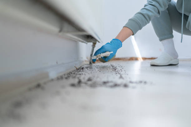 Best Exterminator Services  in Audubon, IA