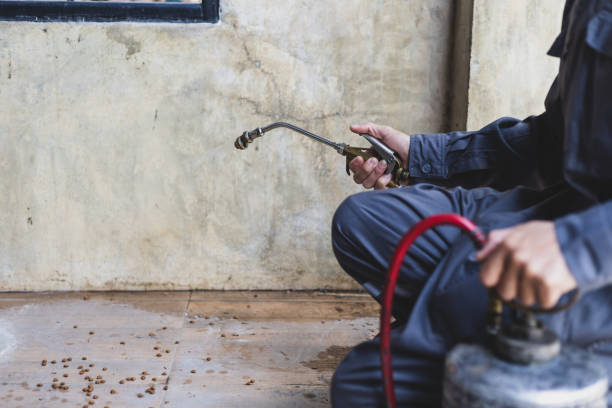 Professional Pest Control in Audubon, IA